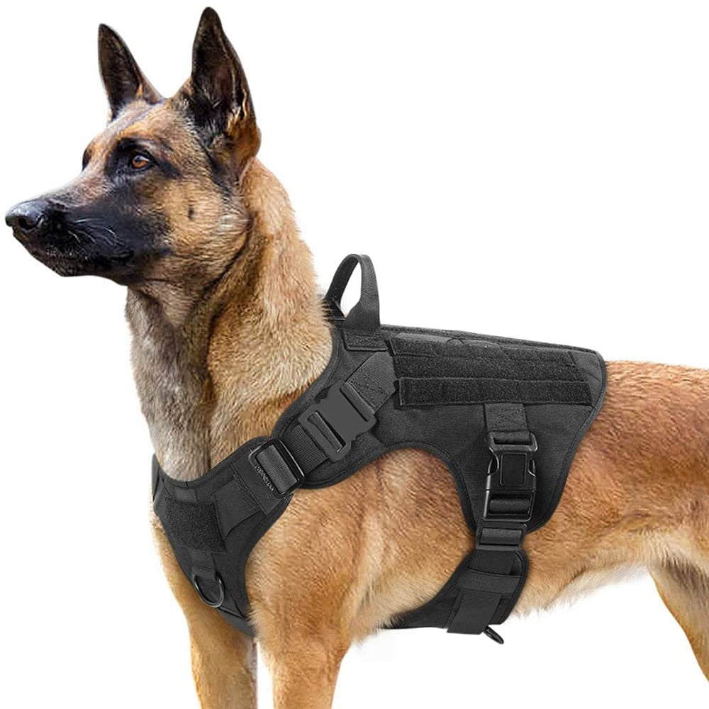 Equip Your Canine Companion with a Tactical Dog Harness and Leash Set for Optimal Training and Control