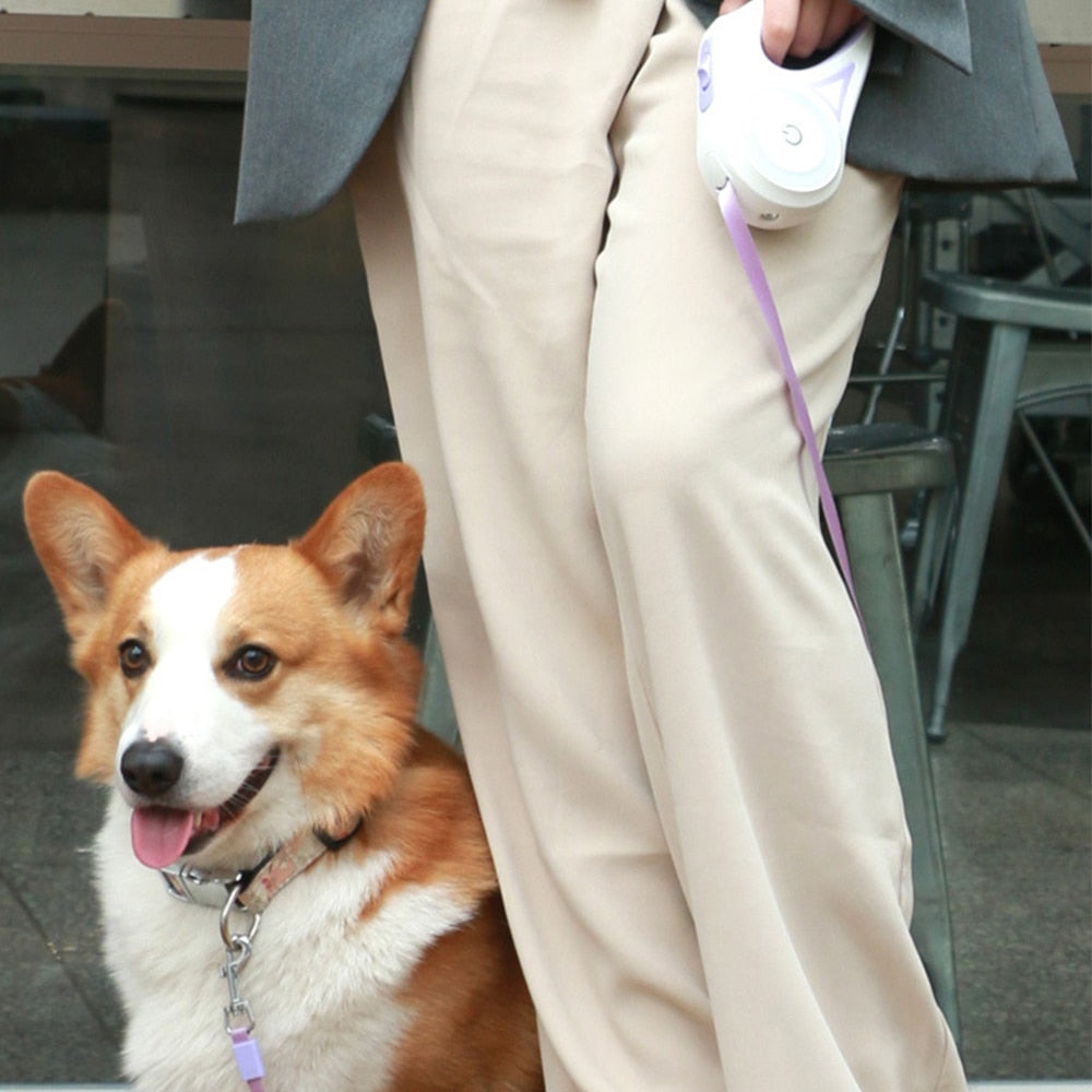 Walk Your Dog Safely at Night with our LED Retractable Dog Leash