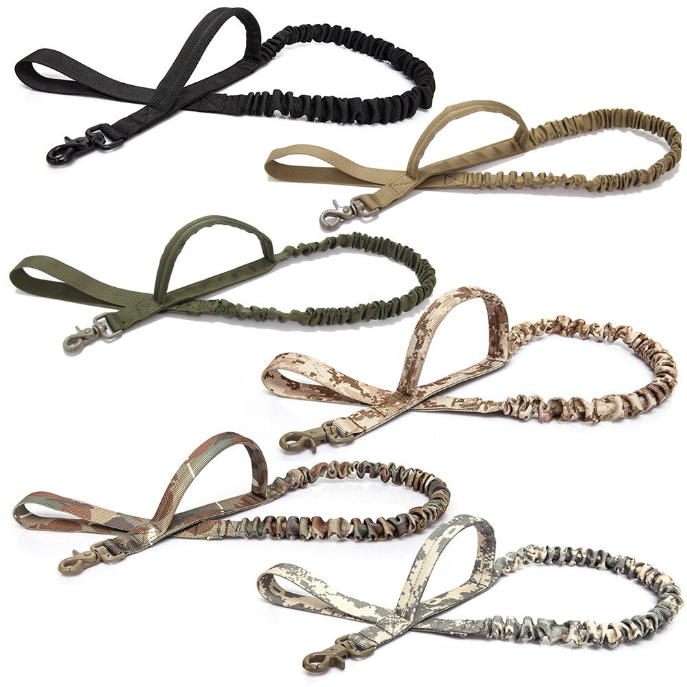 Train and Walk Your Dog with Ease Using our Bungee Dog Leash with 2 Handles and Quick Release