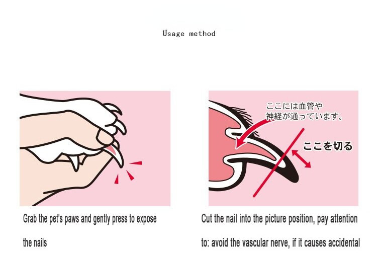 Get Pet Nail Trimming with Stainless Steel Clippers and Scissors