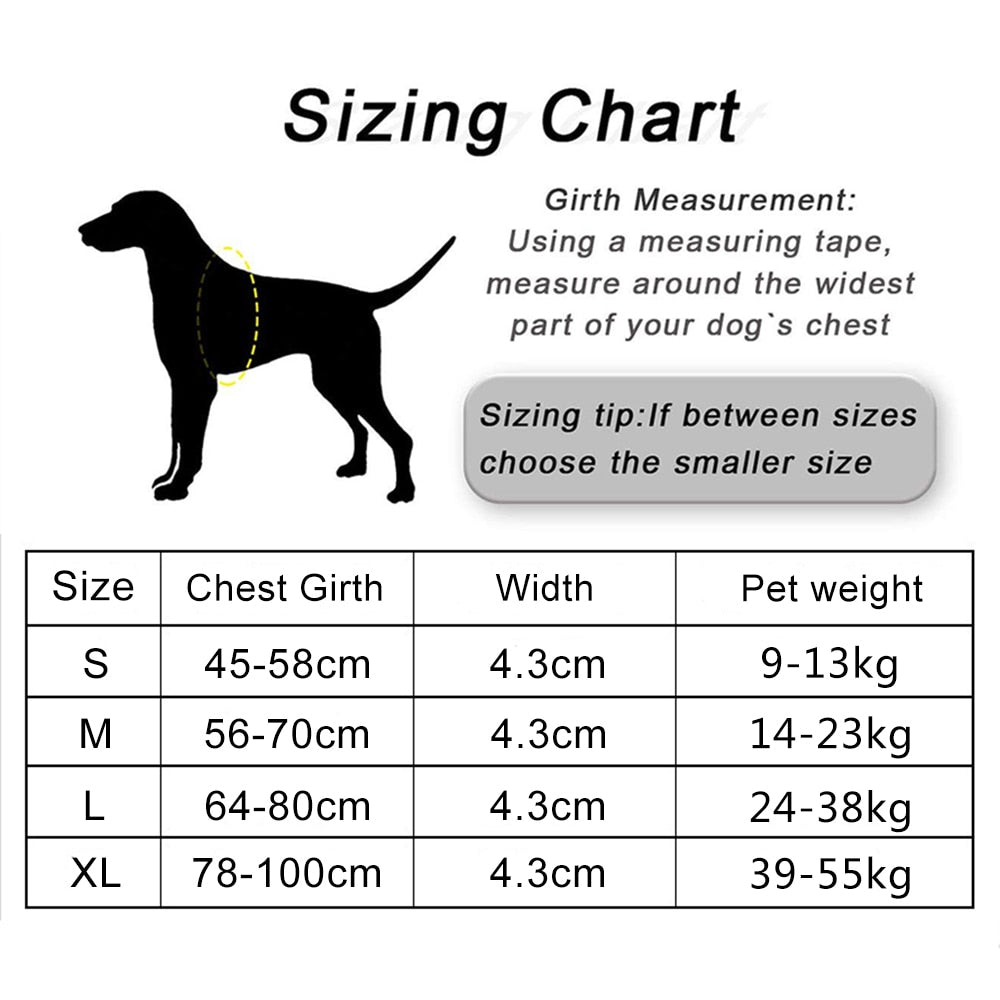 Luminous Dog Harness and Leash Set for K9 Service Dog Training - Perfect German Shepherd Vest for Medium to Large Dogs