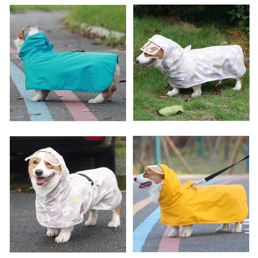 Transparent Dog Raincoat with Hooded Jumpsuit for Waterproof Outdoor Pet Clothing
