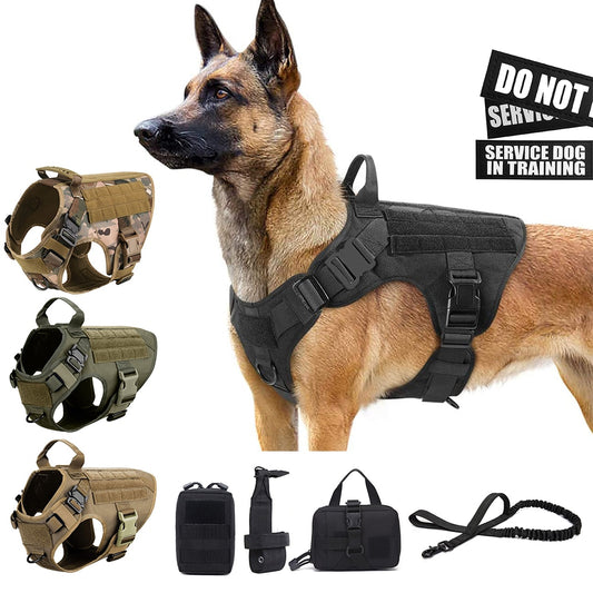 Equip Your Canine Companion with a Tactical Dog Harness and Leash Set for Optimal Training and Control